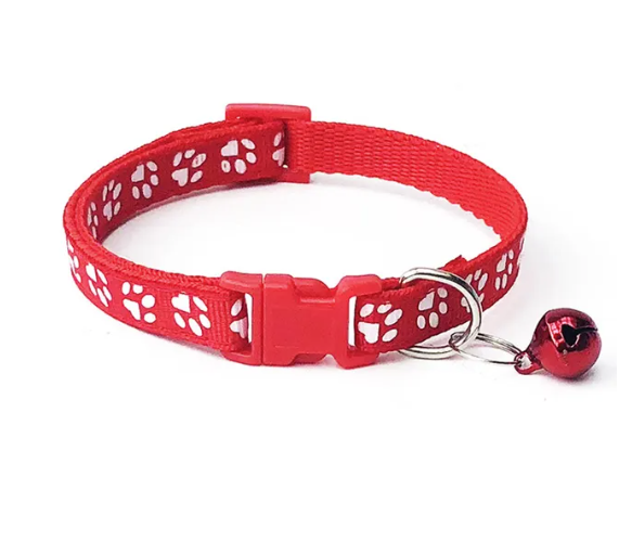 Coleiras para cães pequenos e gatos