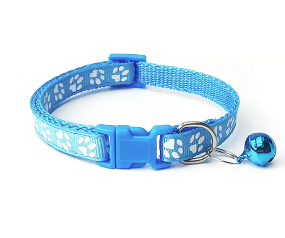 Coleiras para cães pequenos e gatos