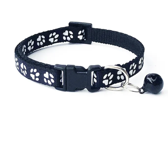 Coleiras para cães pequenos e gatos