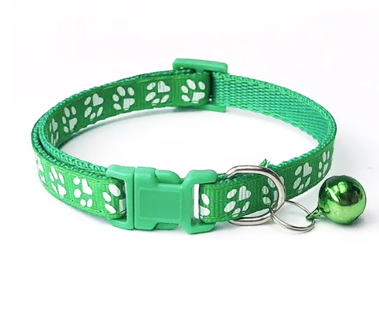 Coleiras para cães pequenos e gatos