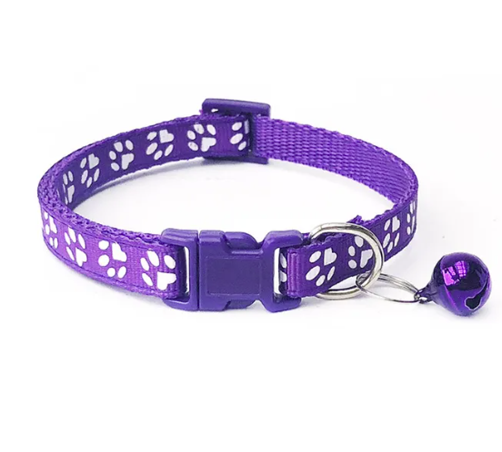 Coleiras para cães pequenos e gatos