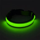 Coleira LED Para Pets